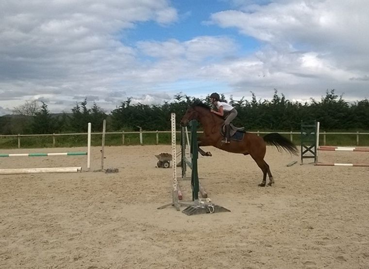 séjour d'équitation à le pouget