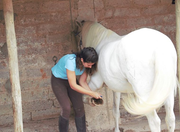 séjour d'équitation à le pouget