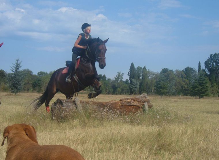 séjour d'équitation à le pouget